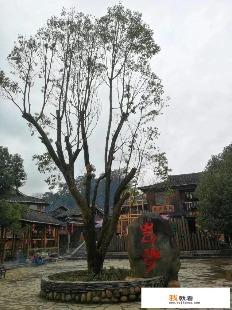 一些游客喜欢抢着在景点的大石头旁拍照，这是什么原因？