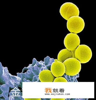 小吃街游戏怎么下载？