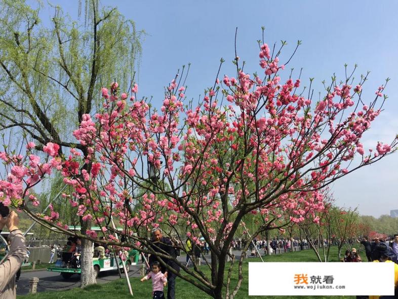 杭州到武功山三日自助游户外攻略有推荐的吗? 杭州到武功山三日自助游户外攻略有推荐的吗?