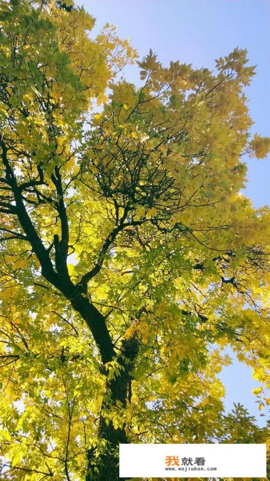 大家爬上香山都用多长时间? 大家爬上香山都用多长时间?