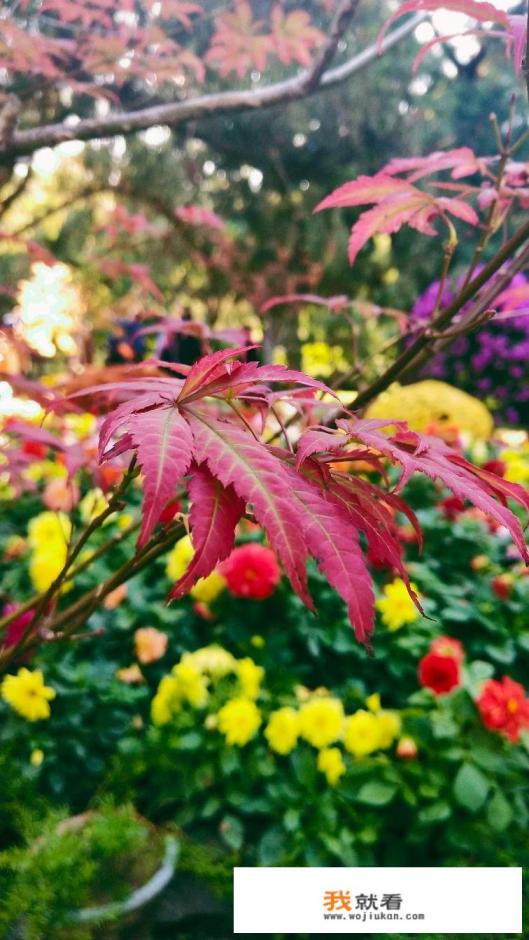 大家爬上香山都用多长时间? 大家爬上香山都用多长时间?