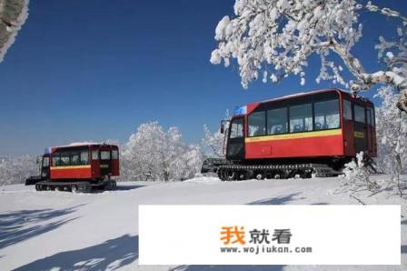 11月份自驾适合去哪里旅游? 11月份自驾适合去哪里旅游?