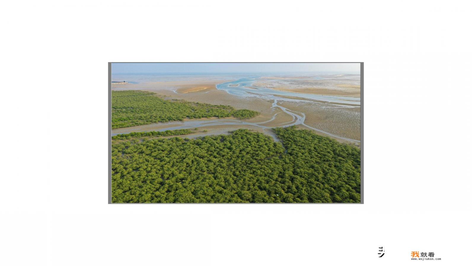 北海旅游景点? 北海旅游景点?