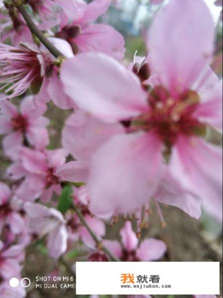 男人帮王千千扮演者是谁? 男人帮王千千扮演者是谁?