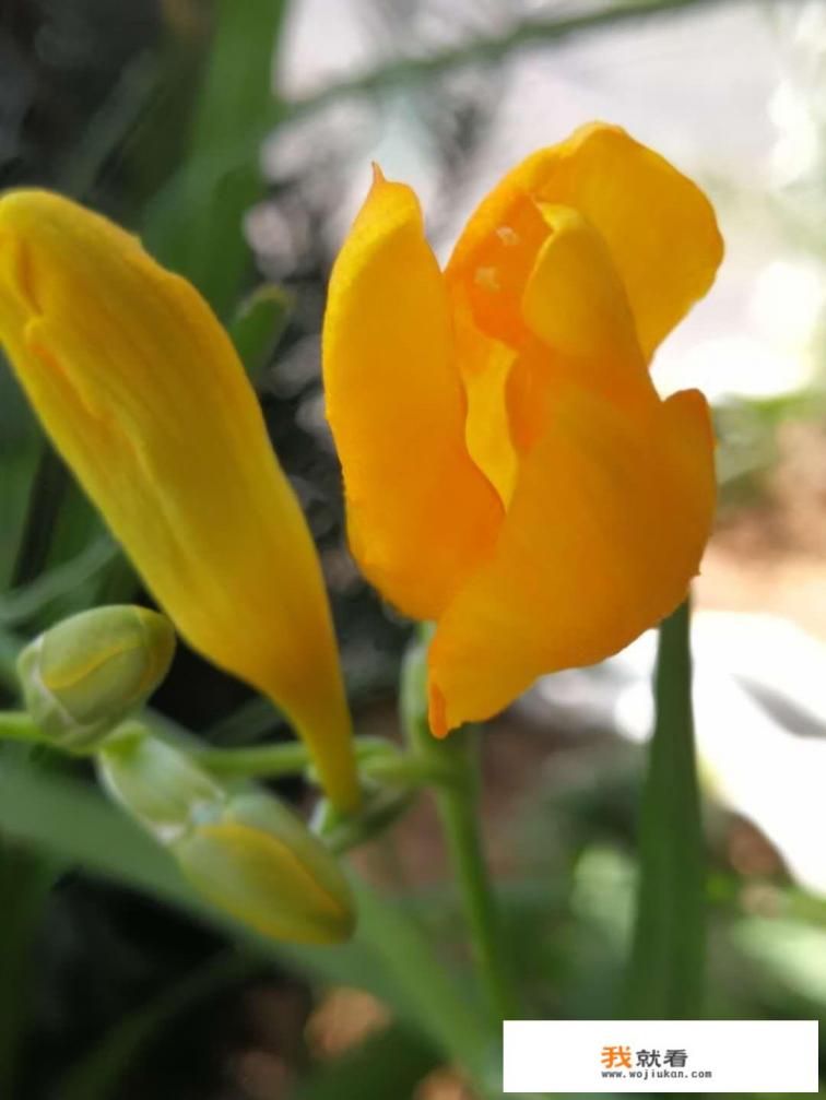 男人帮王千千扮演者是谁? 男人帮王千千扮演者是谁?