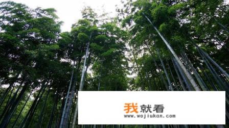 浙江安吉有哪些景区? 浙江安吉有哪些景区?