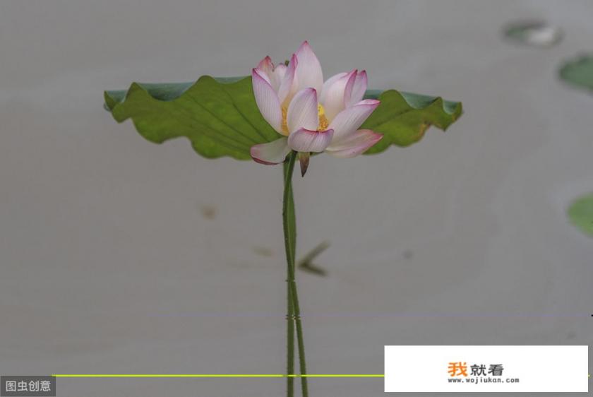 色即是空啥意思啊？