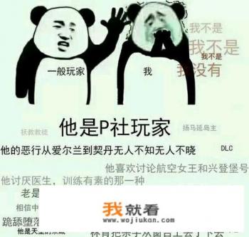p社是什么游戏公司? p社是什么游戏公司?