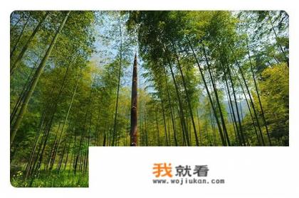 武汉自驾去三峡人家的旅游攻略？