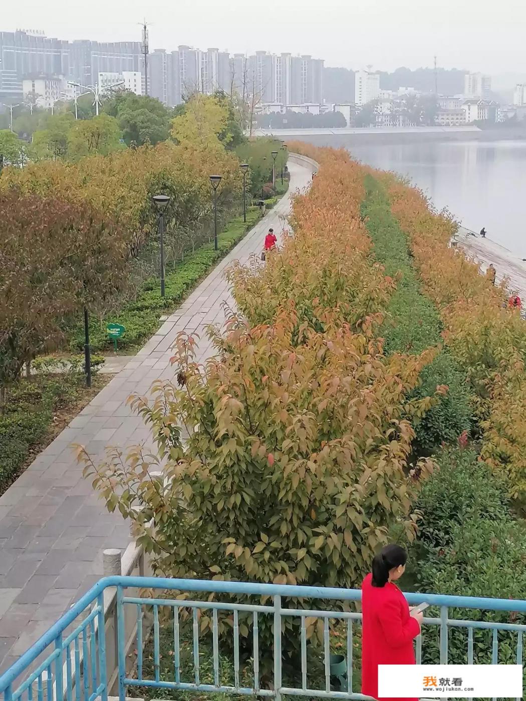 湖南自驾游适合带孩子的地方? 湖南自驾游适合带孩子的地方?