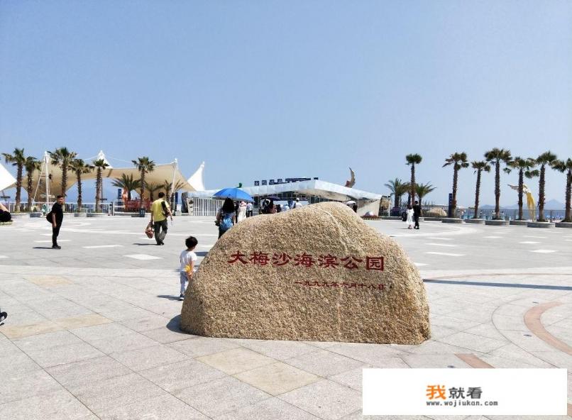 深圳一日一夜怎么玩？