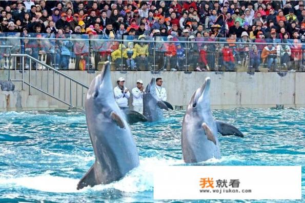 深圳一日一夜怎么玩？