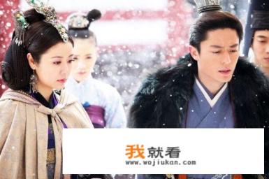 林志颖林心如电视连续剧全集? 林志颖林心如电视连续剧全集?