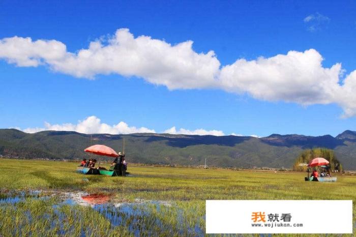 丽江拉市海优缺点? 丽江拉市海优缺点?