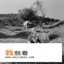 生化危机评分最高第几部? 生化危机评分最高第几部?