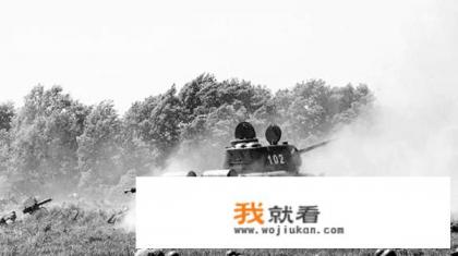 苏德战争,一场几乎被遗忘的战役,为什么称之为“勒热夫绞肉机”? 苏德战争,一场几乎被遗忘的战役,为什么称之为“勒热夫绞肉机”?