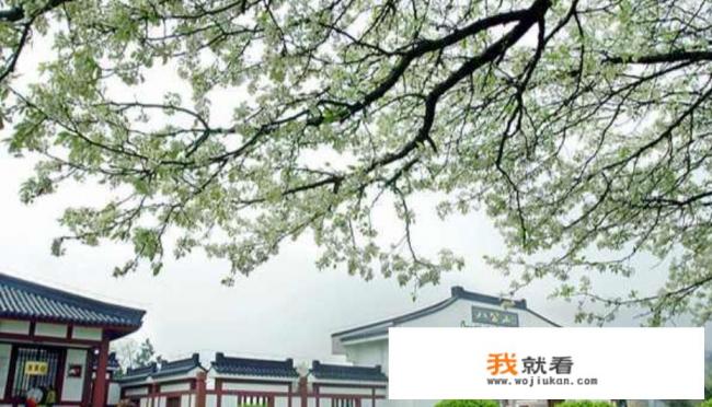 一刻相册和网盘有啥区别? 一刻相册和网盘有啥区别?