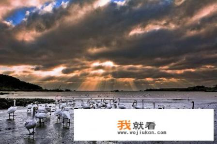 去山东必玩的景点? 去山东必玩的景点?