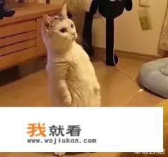 生活感悟的经典句子? 生活感悟的经典句子?