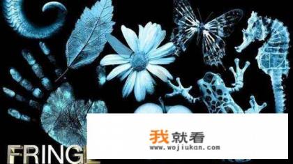 请问美剧《危机边缘》好看吗? 请问美剧《危机边缘》好看吗?