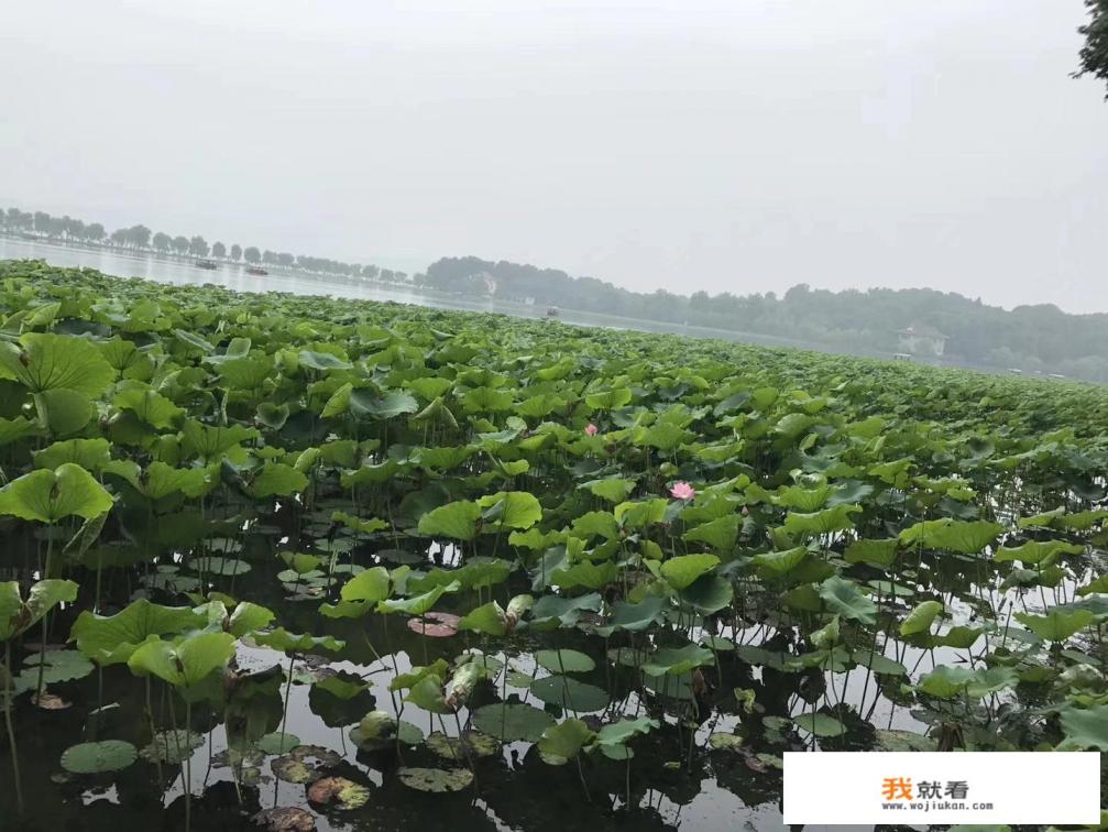 杭州西湖游玩攻略最佳线路？