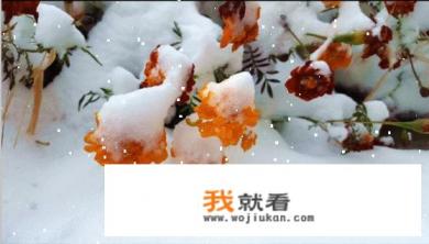 天柱山自助游攻略? 天柱山自助游攻略?