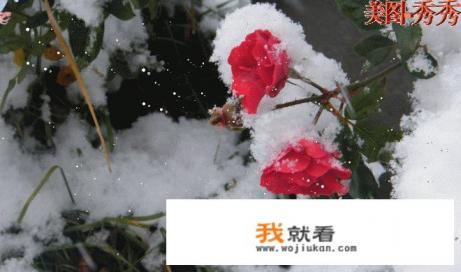 天柱山自助游攻略? 天柱山自助游攻略?