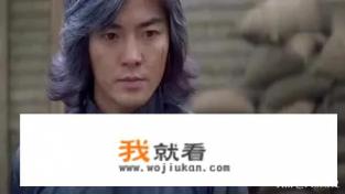 英雄张子健版电视剧大结局？