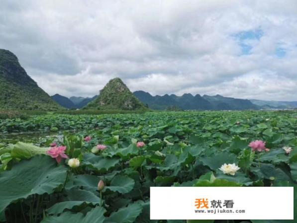 从成都出发去云南旅游攻略及费用? 从成都出发去云南旅游攻略及费用?