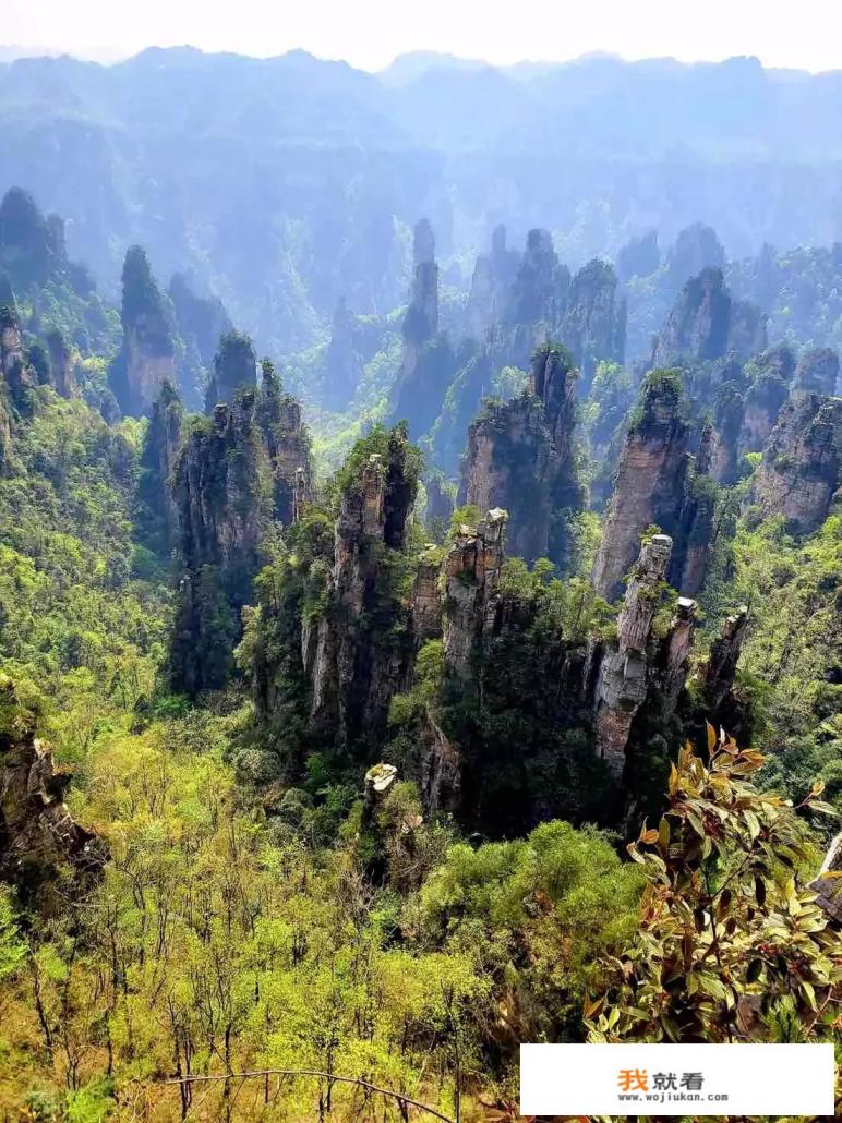 去张家界单飞五日游大概需要多少钱，该如何规划？