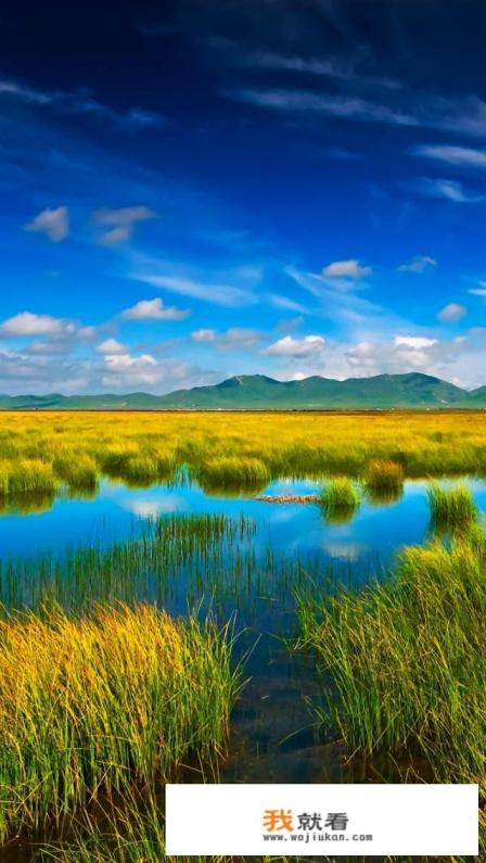 纯净水好还是净化水好？