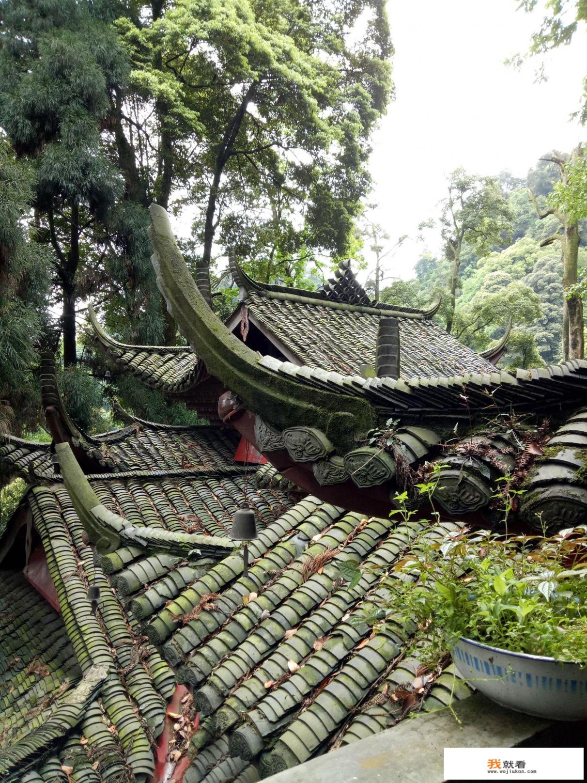 都江堰农家乐吃住攻略? 都江堰农家乐吃住攻略?