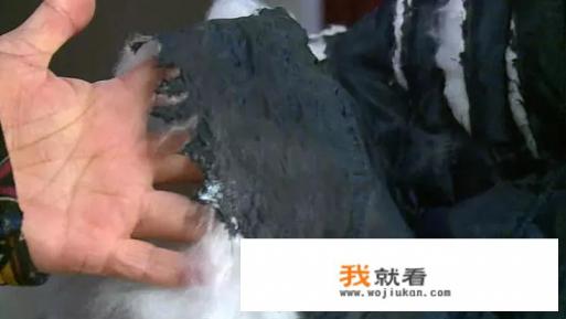 羽绒服放在洗衣机里真的会洗爆炸吗? 羽绒服放在洗衣机里真的会洗爆炸吗?