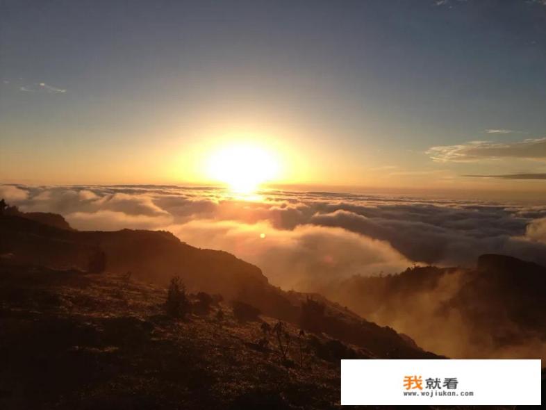 成都市区必去的景点排名？