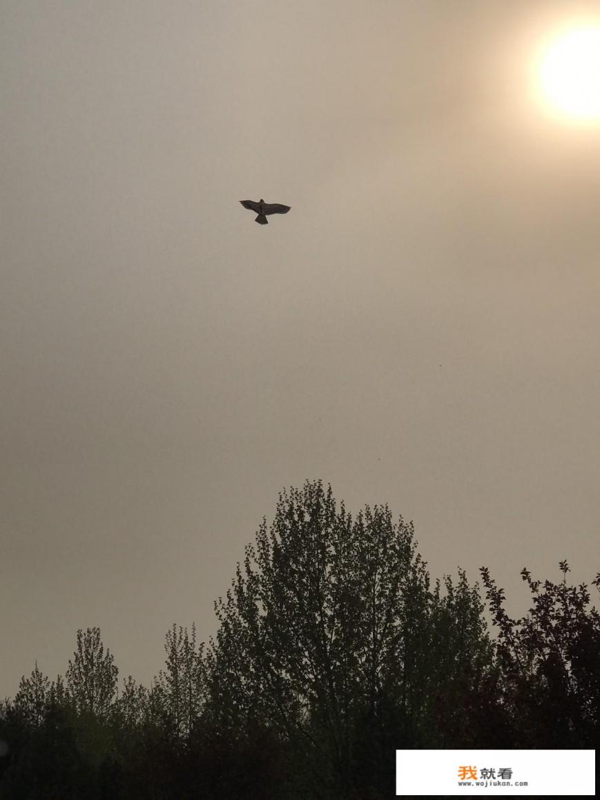 游戏的职业选手工资咋样？你觉得是不是吃青春饭？