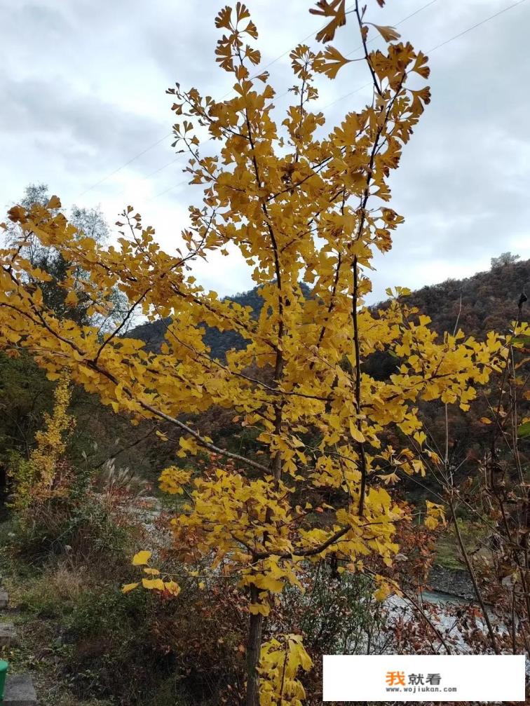 游戏的职业选手工资咋样？你觉得是不是吃青春饭？