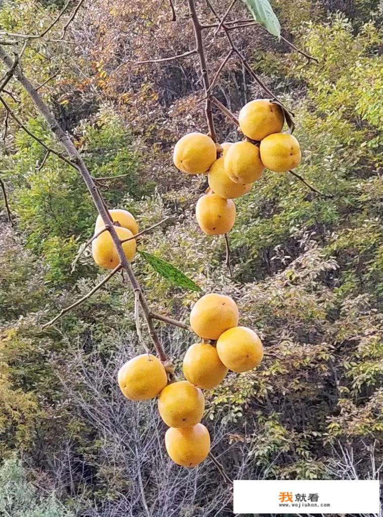 游戏的职业选手工资咋样？你觉得是不是吃青春饭？