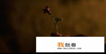 2021年已经上映的恐怖片? 2021年已经上映的恐怖片?