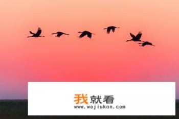 夕阳的诗句和优美句子? 夕阳的诗句和优美句子?