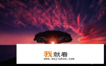 夕阳的诗句和优美句子? 夕阳的诗句和优美句子?