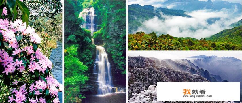 如果你是广西人,南宁大明山风景区8月免门票你会去吗? 如果你是广西人,南宁大明山风景区8月免门票你会去吗?