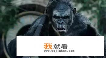 为什么猩球崛起3结局是猿族打败了人类? 为什么猩球崛起3结局是猿族打败了人类?