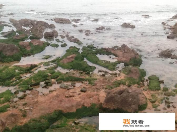 日照最新版的旅游攻略,日照自驾游有吗? 日照最新版的旅游攻略,日照自驾游有吗?