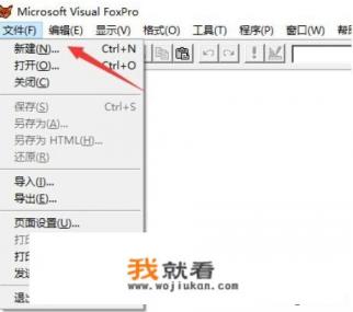 VisualFoxPro6.0是个什么东西? VisualFoxPro6.0是个什么东西?