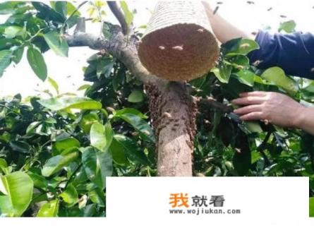 我们逃不掉什么意思? 我们逃不掉什么意思?