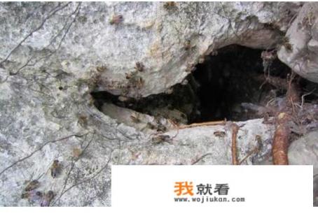 我们逃不掉什么意思? 我们逃不掉什么意思?