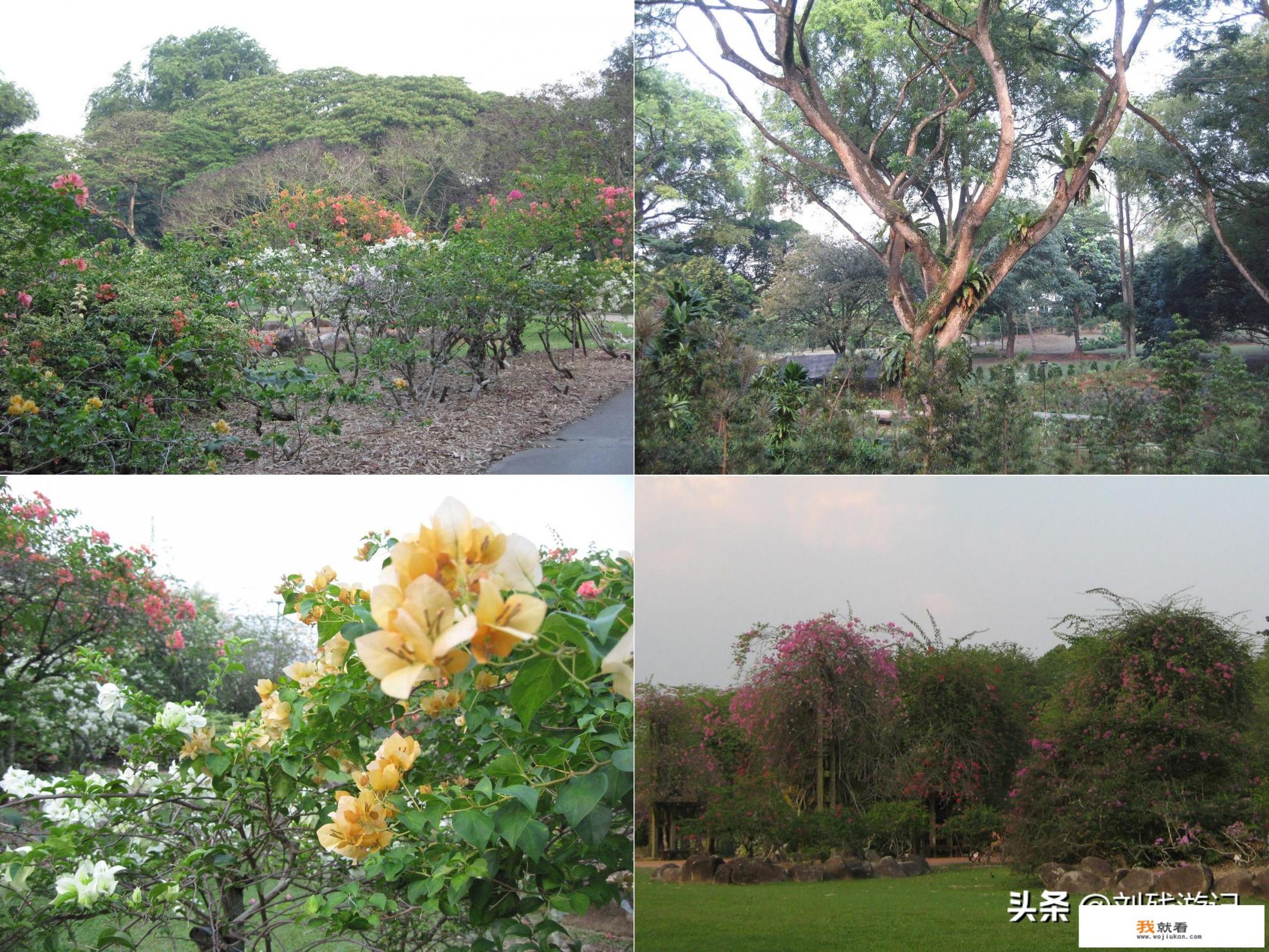 新加坡适合一个人旅游吗?自由行喔,需要注意些什么呢? 新加坡适合一个人旅游吗?自由行喔,需要注意些什么呢?