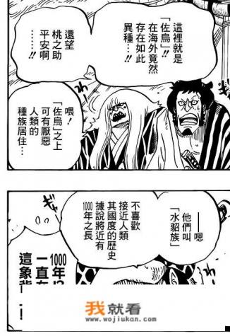 如何评价海贼王802? 如何评价海贼王802?