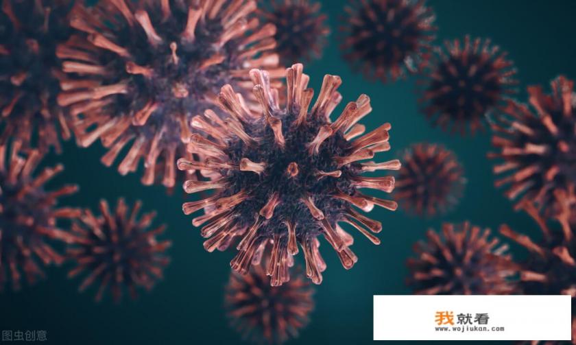 上海地铁票价查询? 上海地铁票价查询?