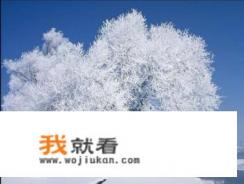 一月吉林省必游景点? 一月吉林省必游景点?